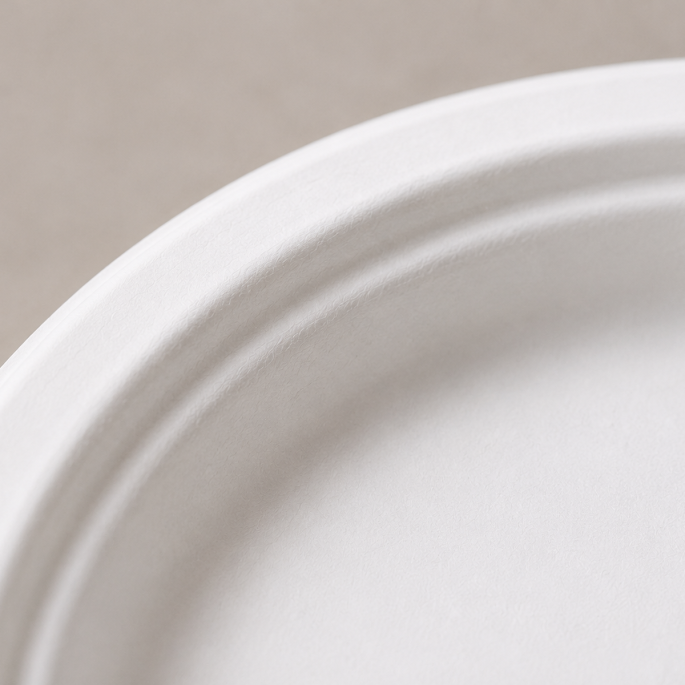 Plates of cane sugar round white format 230 mm