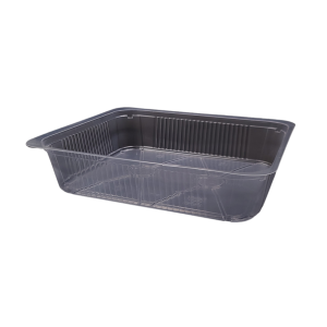 PP bakjes (L-50) formaat 230 x 190 x 50 mm (Transparant)