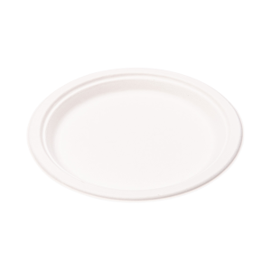 Wegwerp borden suikerriet 230 mm