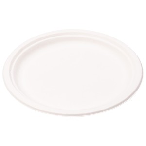 Wegwerp borden suikerriet 260 mm